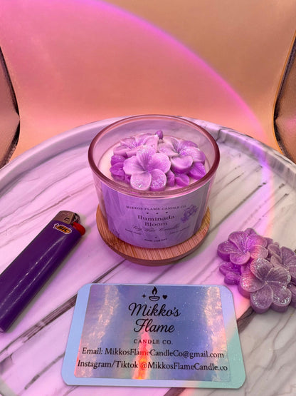 Iluminada Bloom❀
