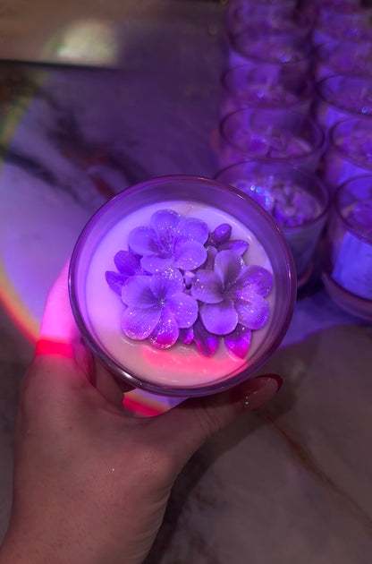 Iluminada Bloom❀