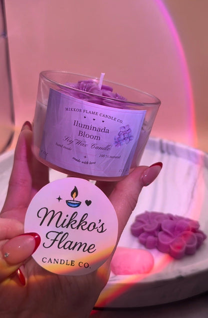 Iluminada Bloom❀